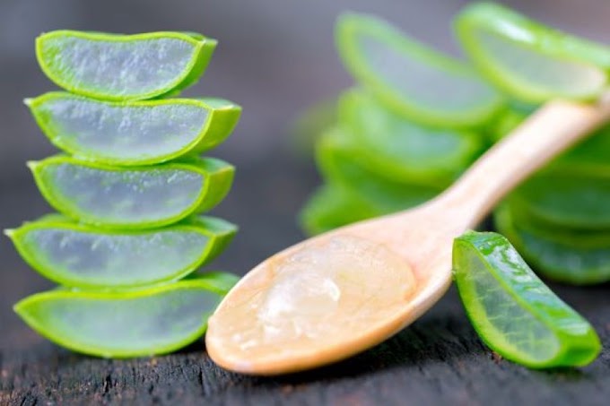Csökkenti a testsúlyt és az inzulinérzékenységet is javítja: Aloe vera gél – málnás-Aloe vera géles turmixitalrecepttel