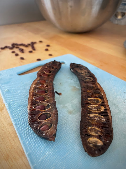 Remove the seeds from the carob pods