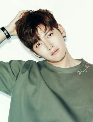 Ji Chang Wook