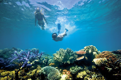 Snorkeling Pantai Timur Pangandaran