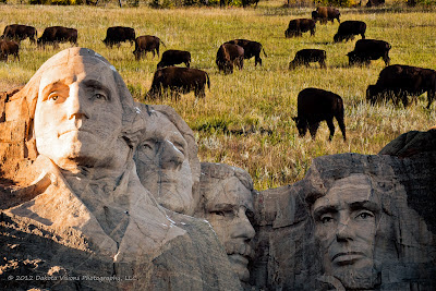 Moving Mountains One Photography At a Time Alzheimers by Dakota Visions Photography LLC Mt Rushmore Buffalo Bison