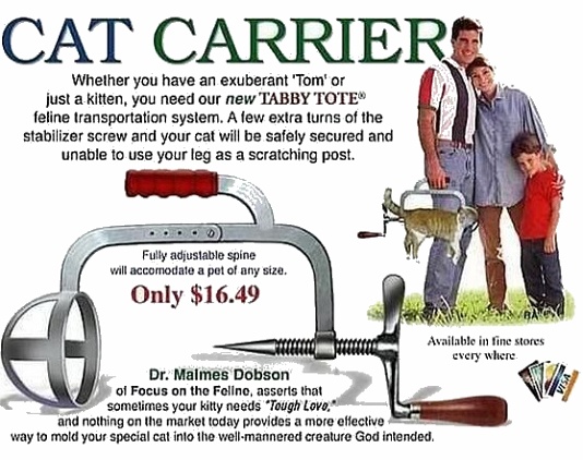 WTF CAT CARRIER FUN humor