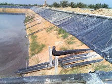 geomembrane HDPE