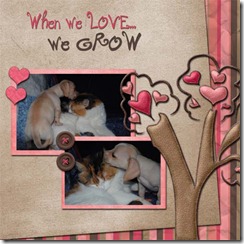 NSK_PSILY_Animals_web