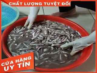 Nước mắm nhĩ cá cơm Quy Nhơn nguyên chất với độ đạm cao