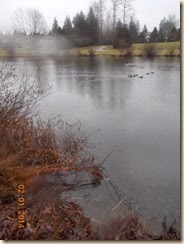 DSCN1977