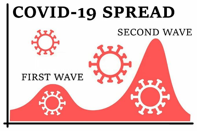 How the Second Wave of Covid-19 will Look Like?