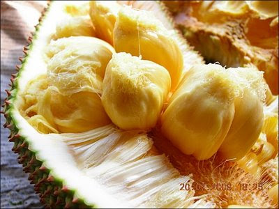 isi buah cempedak