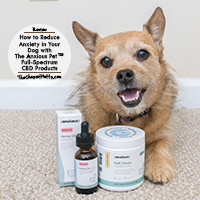 The Anxious Pet CBD for Dogs