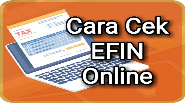 Cara Cek Efin Online