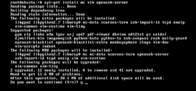 apt-get install mc vim openssh-server