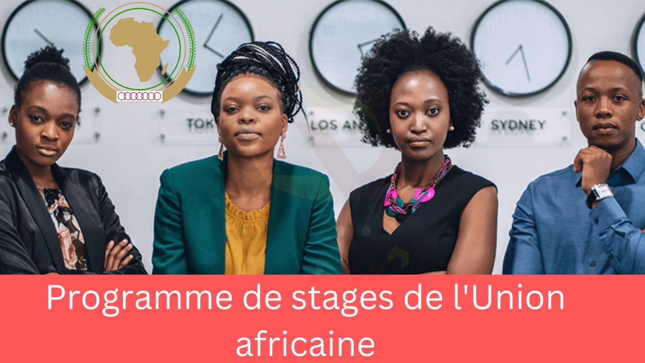 Programme de stages de l'Union africaine