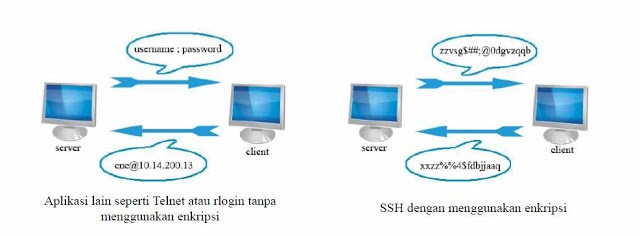 perbedaan ssh dan telnet