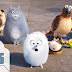 The Secret Life of Pets Full Movie in Hindi Torrent Download