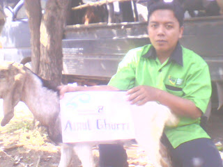 qurban  1431 H