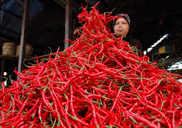 SENTRA SAYUR SAYURAN: Bawang merah, Cabe dan Kentang 