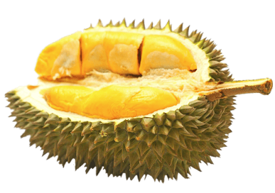 Durian png (Transparent Background)