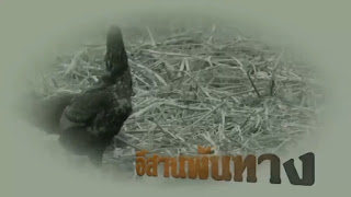 รีวิว ยูทูบเบอร์อีสาน (อีสานพันทาง Esan Pantang)