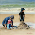 'Sandcastles with Dad' - Figurative Oil Painting