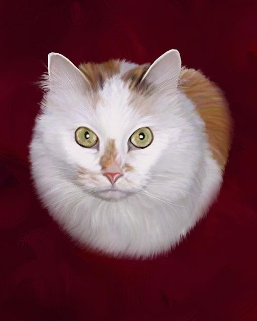 Cat, Feline, Ginger, White, Pet, Domestic Animal, Digital, Hand Painted, Pet Portrait