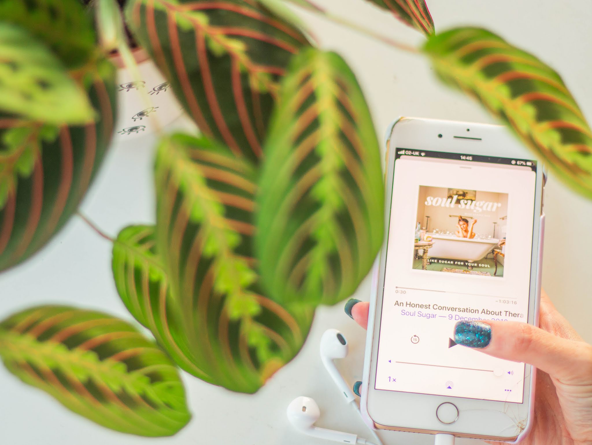 iphone showing top 2019 podcast - soul sugar by carrie rad - with plant - self care - intentional living