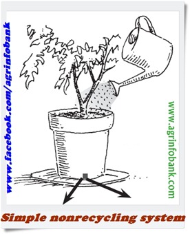 Hydroponics3