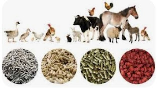 How to start Animal Feed Business in Nigeria