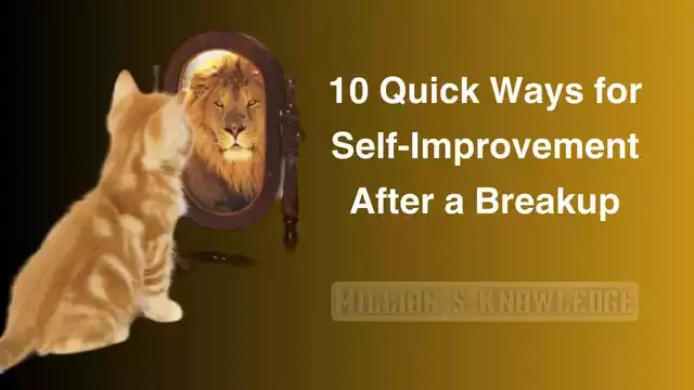 Self improvement after a breakup