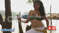 Lakshmi, rai, , navel, show, at, ccl, photos