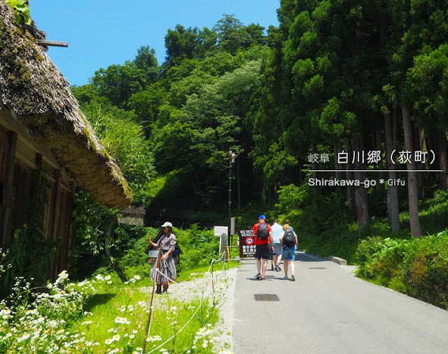 白川郷 荻町合掌造り集落（夏の風景）