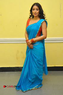 Telugu Actress Vaibhavi Stills in Blue Saree at Www.Meena Bazaar Movie Opening  0104.JPG