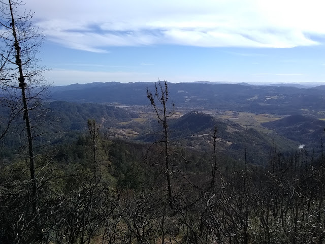 through the burn to the Calistoga Valley