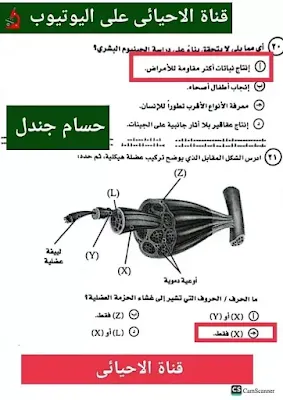 إجابات أسئلة امتحان الأحياء ثانوية عامة 2024 .. احسب درجاتك