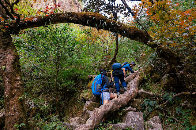 Trekking Fansipan chưa bao giờ làm bạn thất vọng