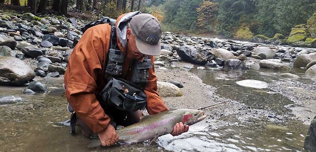 Ein schöner Coquihalla Fisch