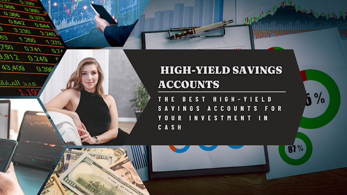 The Best High-Yield Savings Accounts for Your Investment in Cash