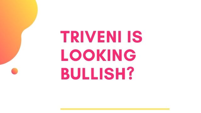 Triveni is looking bullish - Fundamental analysis