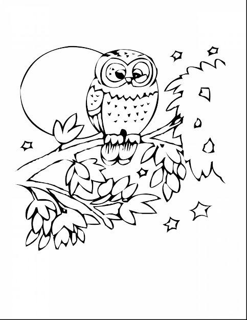 Impressive Owl Coloring Page With Owl Coloring Pages And Owl Coloring Pages