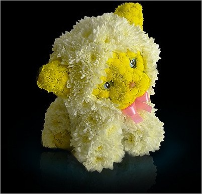  interesting object Art Seen On  www.coolpicturegallery.us