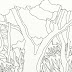 ribrezzo 14+ Simple Rainforest Coloring Pages Pictures this site