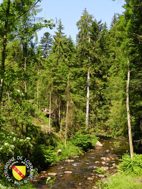 GERARDMER (88) - Le sentier écologique des Perles de la Vologne