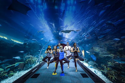 Aquarium and Underwater Zoo Dubai