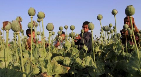 NARCO WARS: TRUMP BOMBS TALIBAN DRUG FACTORIES