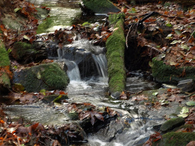 Squires Lake Loop, November '10