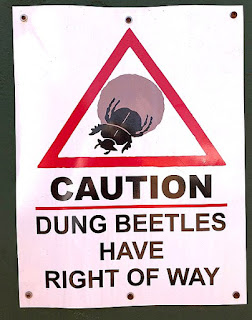 https://commons.wikimedia.org/wiki/File:Caution_Dung_Beetles,_South_Africa.jpg