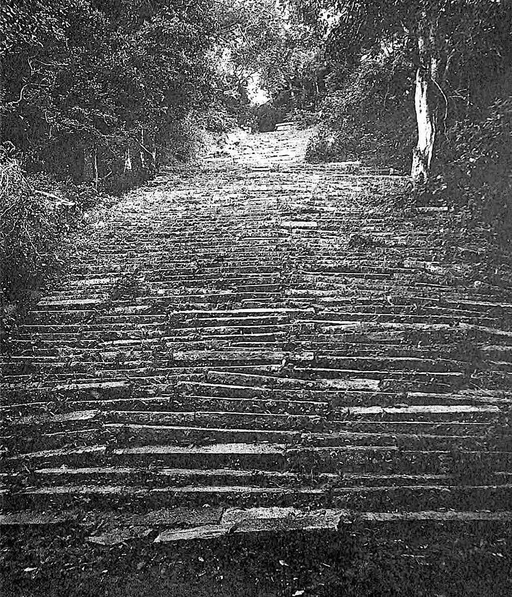 1896 stone stairs, Ceylon, a photograph