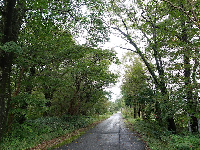 鳥取県西伯郡大山町豊房 香取の農道を大山環状道路に下ります