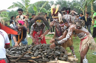 Tradisi papua bakar batu