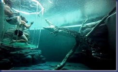 crocodile_cage_of_death_15