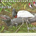 1984 - Brasil - Pantanal e o jacaré